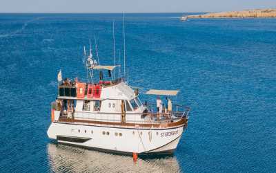 Wycieczka Dream of Turtles ST Georgios II rejs poranny z Protaras - marzenie zobaczyć żółwie dla rodzin