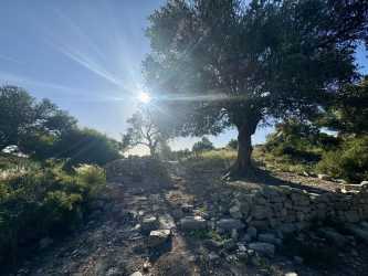 Wycieczka Pafos by night