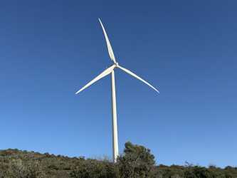 Wycieczka Pafos by night