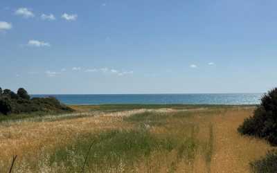 Wycieczka na plażę Skała Afrodyty z karmieniem osiołków z Pafos