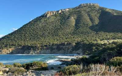 Wycieczka Marathon Jeep Safari Najważniejsze atrakcje Pafos z Pafos