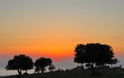 Wycieczka Marathon Jeep Safari - Narodowy Park Akamas z Cypru Północnego