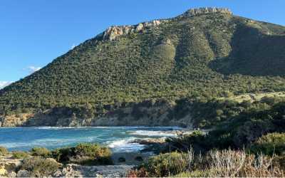 Wycieczka Marathon Jeep Safari - Narodowy Park Akamas z Cypru Północnego