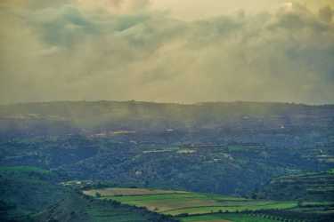 Wycieczka Szlakiem Cypryjskich Winnic - Kalamos Winiarnia
